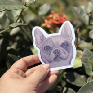 Bulldog Francés - Sticker Ilustrado - Vinil Decorativo