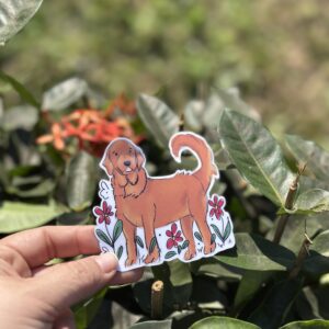 Golden - Sticker Ilustrado - Vinil Decorativo