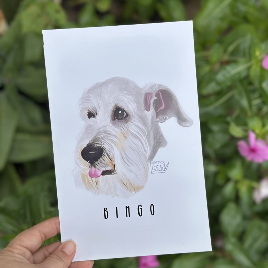 Retrato de Mascota - Ilustración digital personalizada