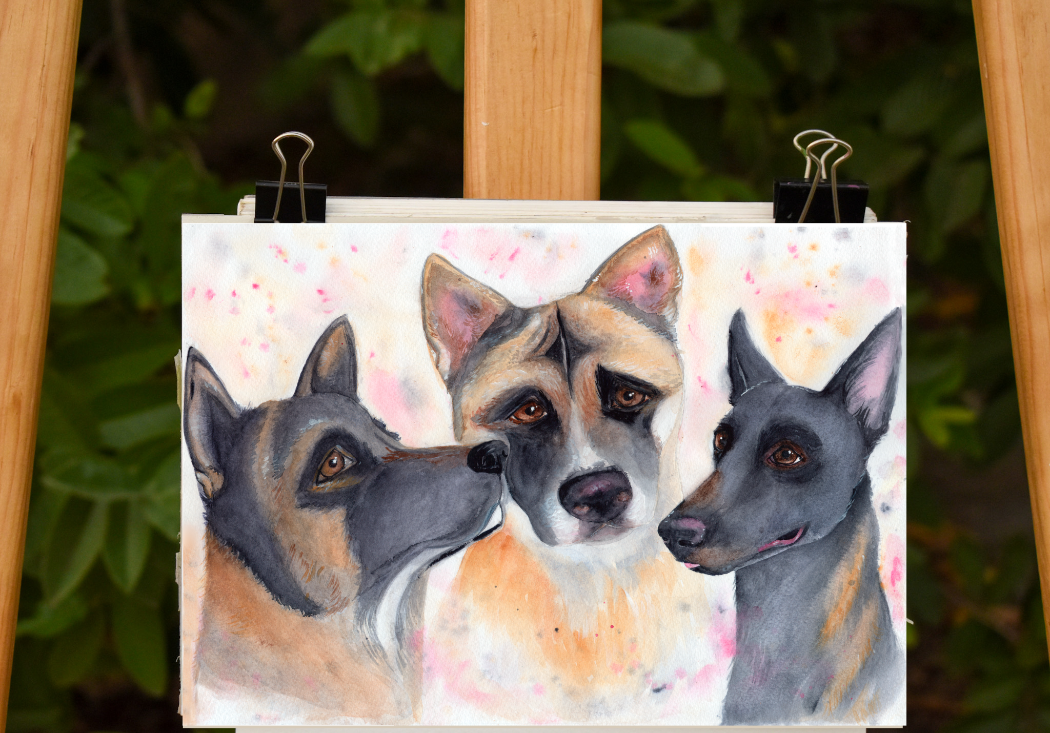 Retrato Mascotas - Imagen 2