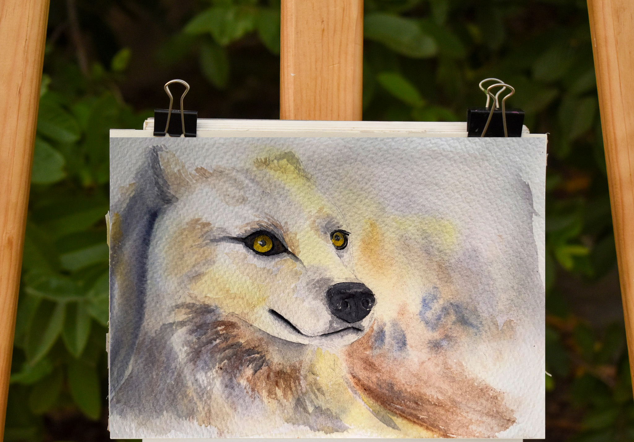 Retrato Mascotas - Imagen 3