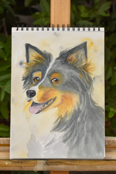 Retrato Mascotas - Imagen 4