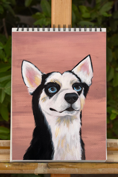 Retrato Mascotas - Imagen 5