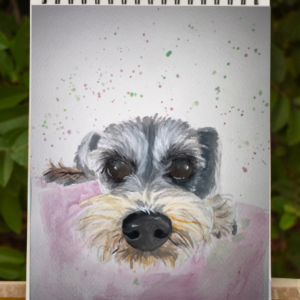 Retrato Mascotas