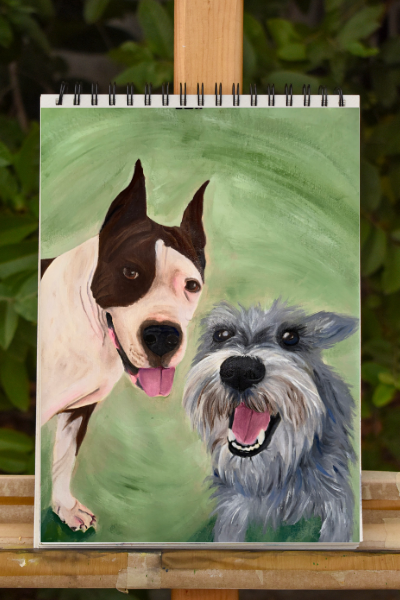 Retrato Mascotas - Imagen 6