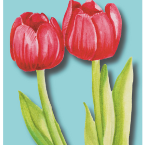 Tulipanes Print