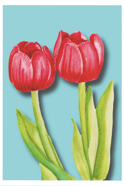 Tulipanes Print