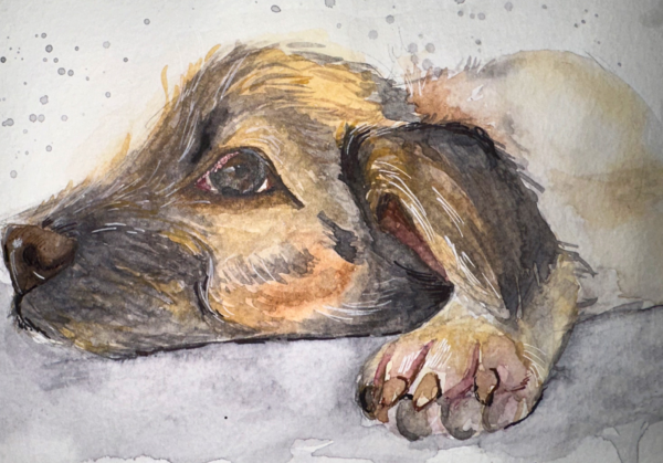 Perrito Relajado Print