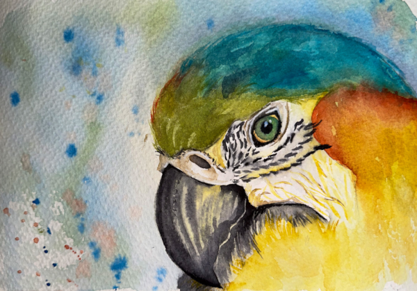 Guacamayo Print