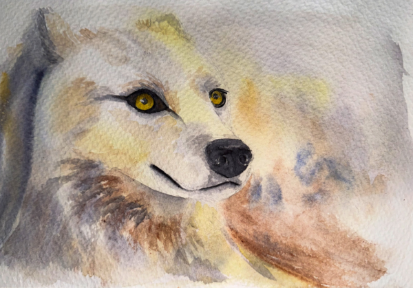 Perro Nieve Print