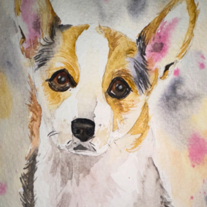 Perrito Colores Print