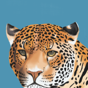 Jaguar Print