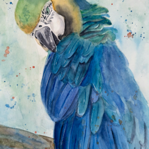 Guacamayo Azul Print