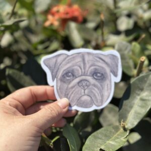 Pug - Sticker Ilustrado - Vinil Decorativo